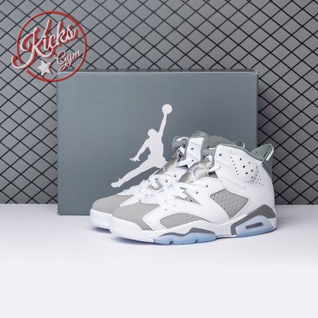 Air Jordan 6 Cool Grey CT8529-100 Size 40-47.5